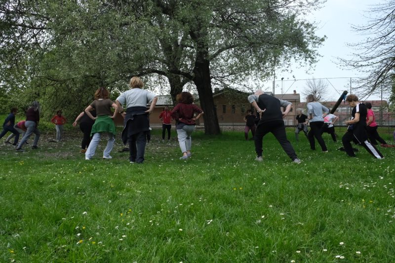 Gruppo di adulti durante una lezione di ginnastica dolce all'aperto