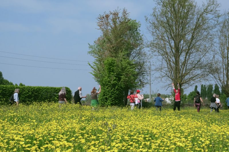 Partecipanti che camminano in gruppo nel verde